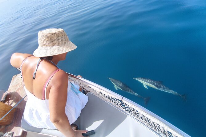 2 h Estepona Bay Tour - Key things to know before you go