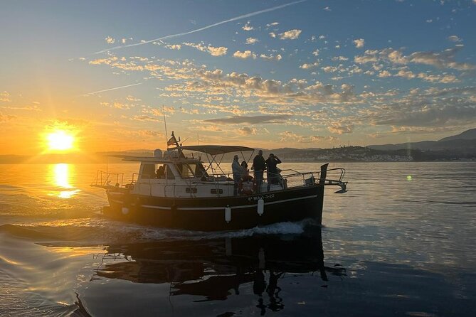 2-Hour Excursion in Search of Dolphins/ Includes Drink and Snacks - Onboard Value: Drink, Snacks, and the Sea Dip That Changes the Mood
