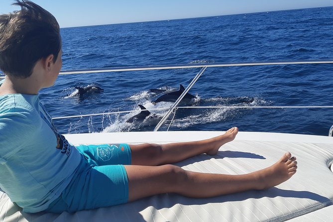 2 Hours Dolphin Watching in Marbella - Key things to know before you go