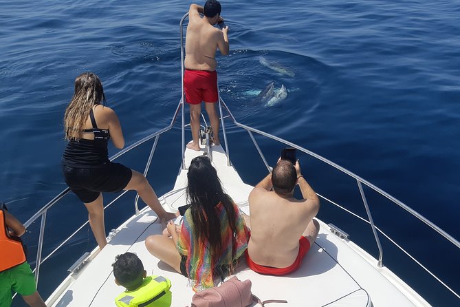 2 Hours Dolphin Watching in Marbella - Getting to Lovit CharterPantalán in Nueva Andalucía