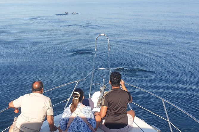 2 Hours Dolphin Watching in Marbella - Snacks and drinks, what you actually get and how it’s handled