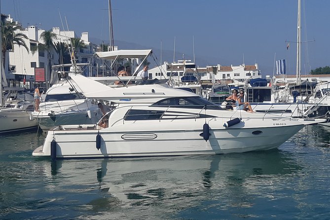 2 Hours Dolphin Watching in Marbella - The boat experience: space, shade, and comfort in real terms