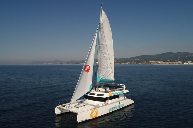 3-Hours Catamaran Tour in Malaga with Paella - Price and Value: Does $54.06 Feel Fair?
