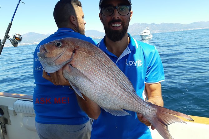 4 Hours Bottom Fishing Day by boat from Marbella - Meeting at Calle Muelle Ribera, and what your start is like