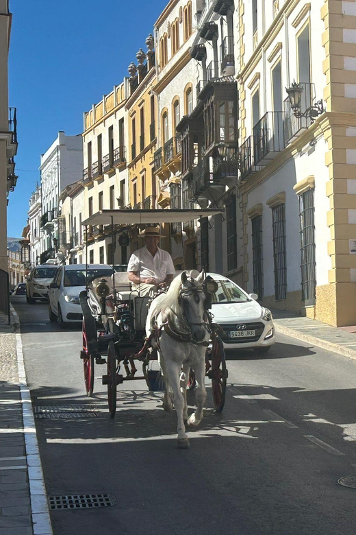 ab Marbella: Private VIP-Tour Ronda incl. Transfer + Tapas - Key things that make this Ronda tour work so well