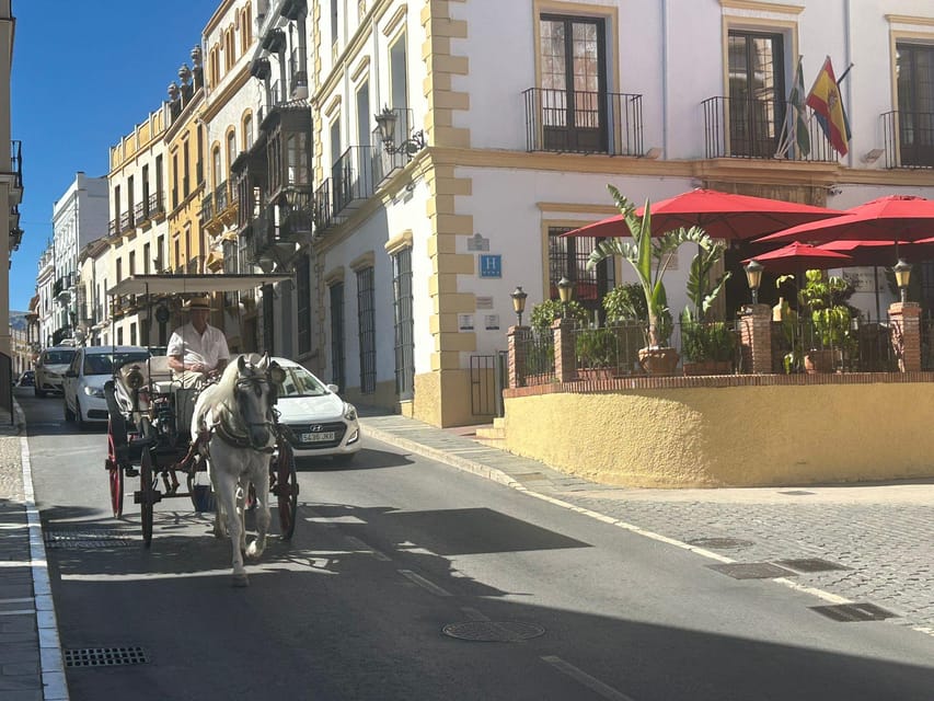 ab Marbella: Private VIP-Tour Ronda incl. Transfer + Tapas - The 5-hour flow: pick-up zones, transfer time, and how the pacing feels