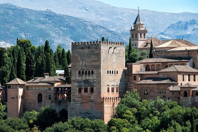 Alhambra and Granada Private Tour from Marbella, Malaga and port - Your guided visit time, and what it means for real comfort