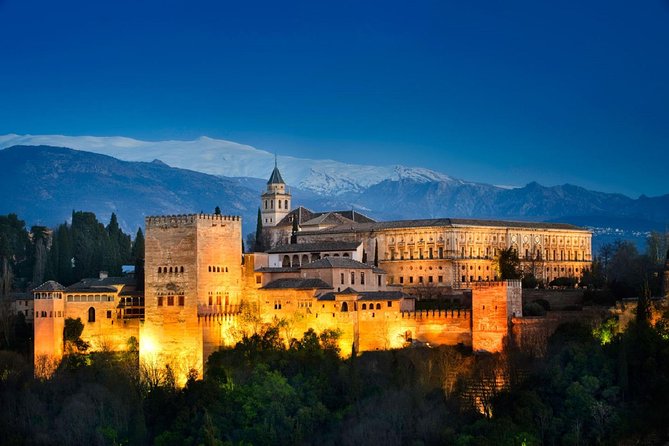 Alhambra, Nasrid Palaces and Generalife Private Tour from Malaga - How the Art Historian Guide Changes What You See