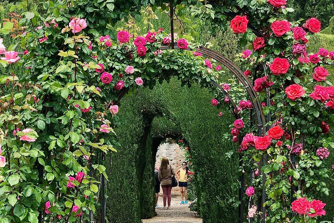 Alhambra Private Tour from Marbella: with Transport and skip-the-line tickets - The guide makes or breaks the day, and the names here matter