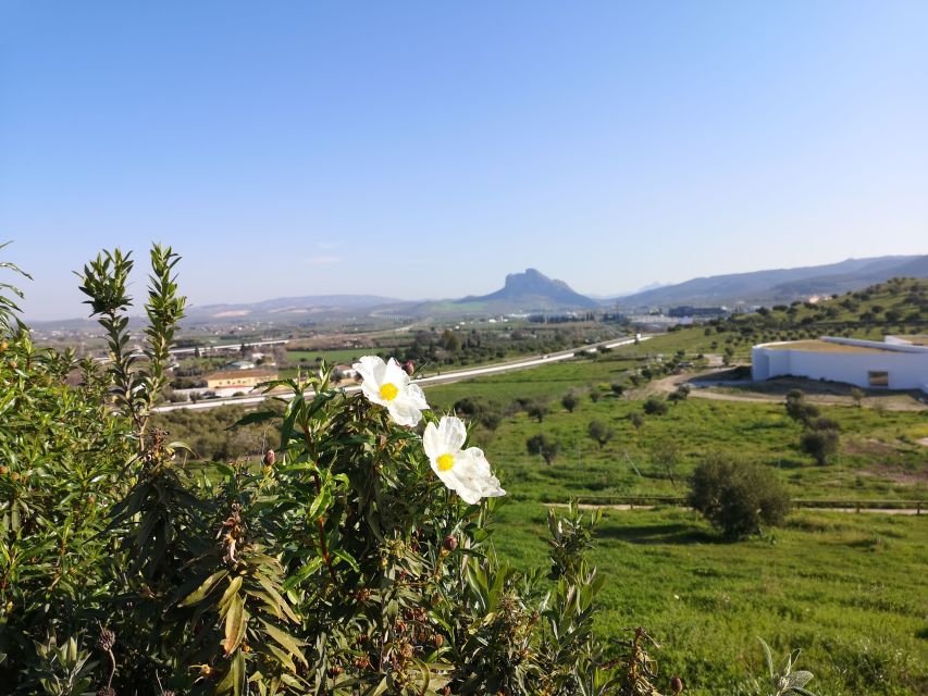 Antequera: Dolmens and El Torcal Tour with Transfer - Key takeaways before you go