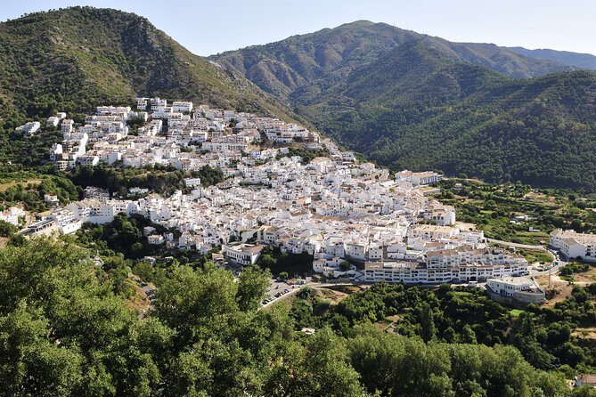 Authentic Andalusia - Jeep Eco Tour (pick up from Marbella - Estepona) - The Ride: Open-Roof Land Rover Defender, Small Group Pace, and Real Guide Time