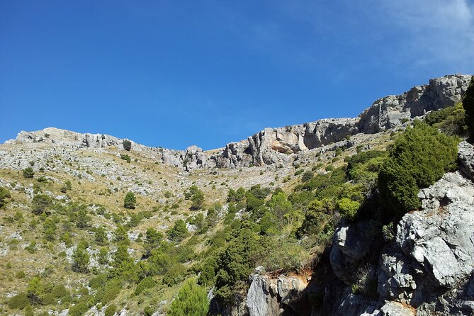 Authentic Andalusia - Jeep Eco Tour (pick up from Marbella - Estepona) - Monda Stop and Traditional Lunch on the Main Square