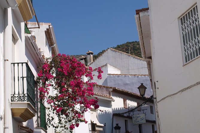 Authentic Andalusia - Jeep Eco Tour (pick up from Marbella - Estepona) - Pickup Zone, Tour Hours, and the Real Logistics That Matter
