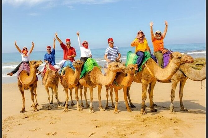 Authentic Private Tangier Tour from Estepona Camel Ride & Lunch - Key highlights to know before you go