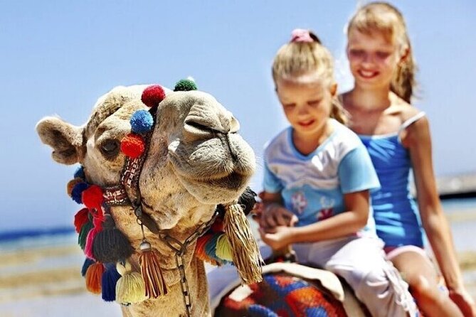 Authentic Private Tangier Tour from Estepona Camel Ride & Lunch - Getting from Estepona to Tangier without the scramble