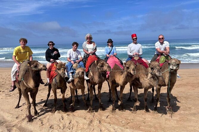Authentic Private Tangier Tour from Estepona Camel Ride & Lunch - Tarifa ferry stop and the rhythm of a 10-hour day