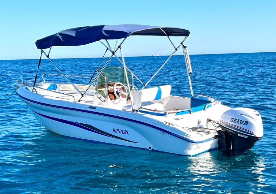 Benalmadena: Boat Rental without License Required - Dolphins and marine life: how to handle the wow factor