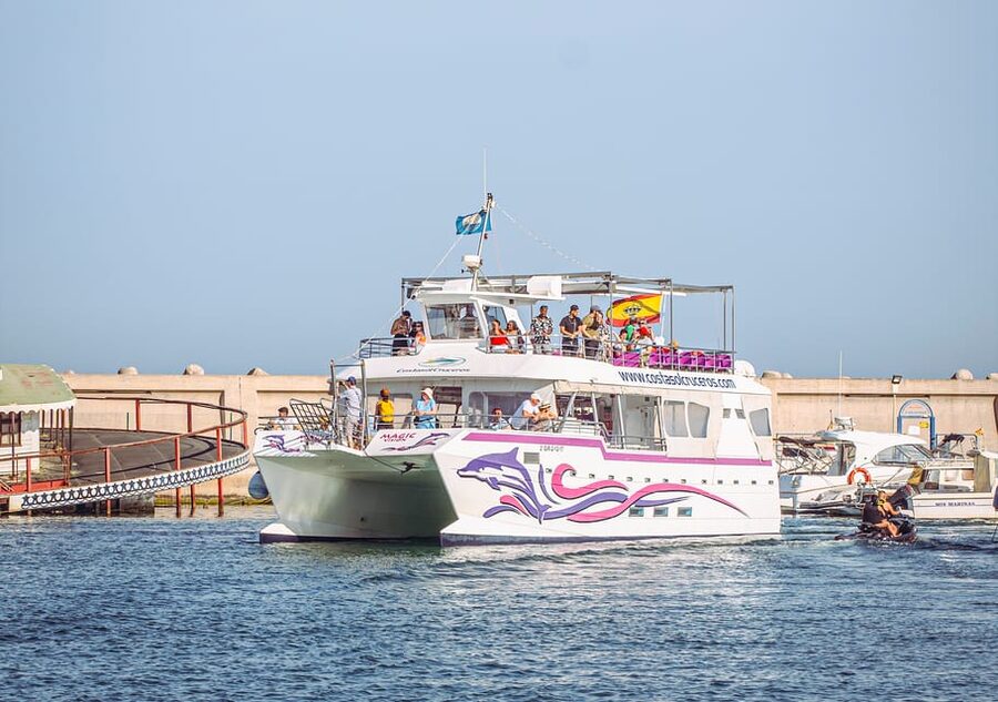 Benalmadena: Dolphin Watching Boat Tour - Key highlights at a glance