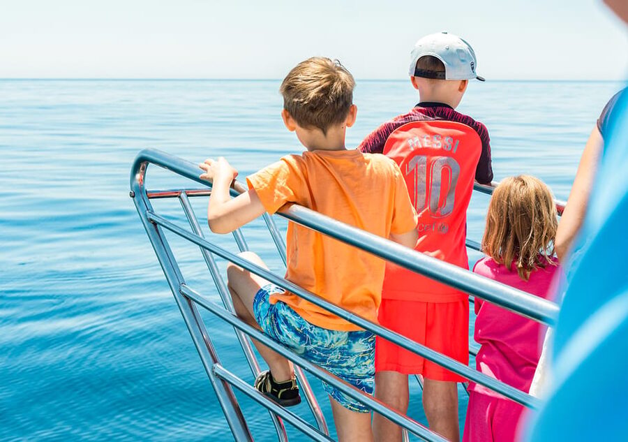 Benalmadena: Dolphin Watching Boat Tour - Onboard bar and food: the practical way to make it a low-effort outing
