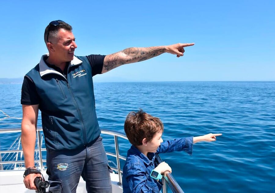 Benalmadena: Dolphin Watching Boat Tour - Benalmádena Dolphin Watching: a Costa del Sol day with wildlife rules