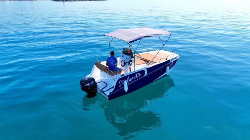 Benalmádena: license-Free Rent Boat for Dolphin Watching - Dolphin Watching on the Water: How to Make the Most of It