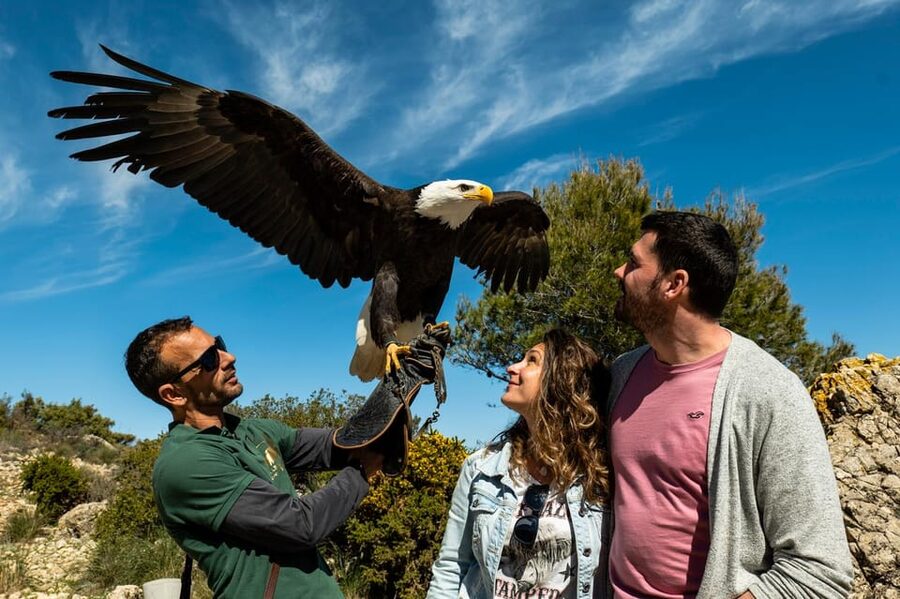 Benalmádena: Mount Calamorro Cable Car Ticket - Mediterranean plants and wildlife: what you can actually spot on the walk
