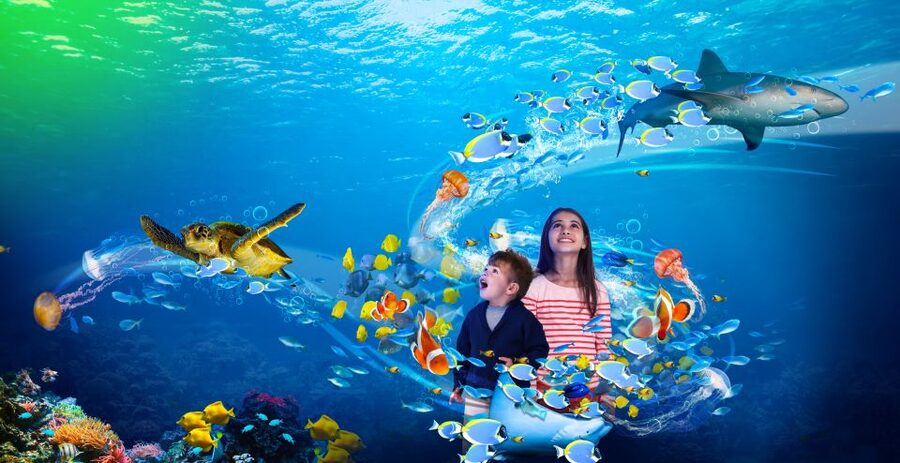Benalmádena: Sea Life Benalmádena Premium Entry Ticket - Planning Your Time: A Smaller Aquarium That Still Packs Fun