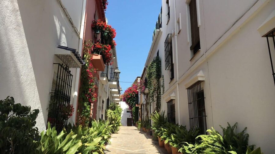 Best of Málaga: Private Walking Tour with a Local - Tapas, Local Wine, and Getting Around: The Value You Actually Use