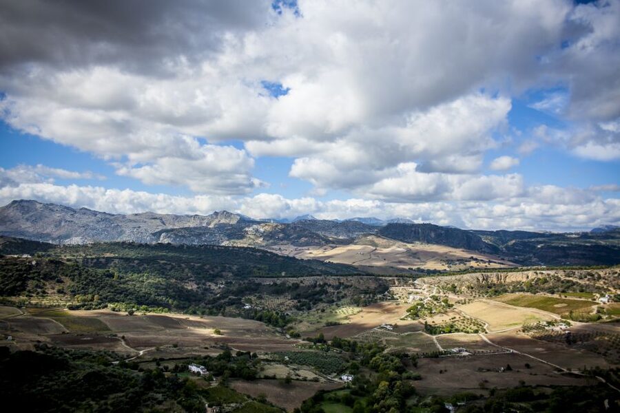 Best of Ronda: Guided Tour from Málaga - Price and Value: Is $177 Worth a Day Trip to Ronda?