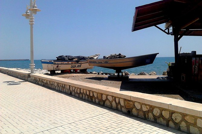 Bike Rental in Malaga - Port views and Palmeral de las Sorpresas: a great pairing