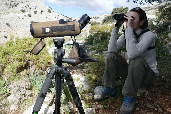 Birding Costa del Sol Day tour - Playa Guadalhorce and the Guadalhorce Estuary: your best shot at waterfowl and waders