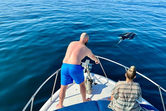Boat Tour with Snorkeling, Water Slide, Lunch and Pick Up - Dolphin Spotting in Open Water: What to Watch For