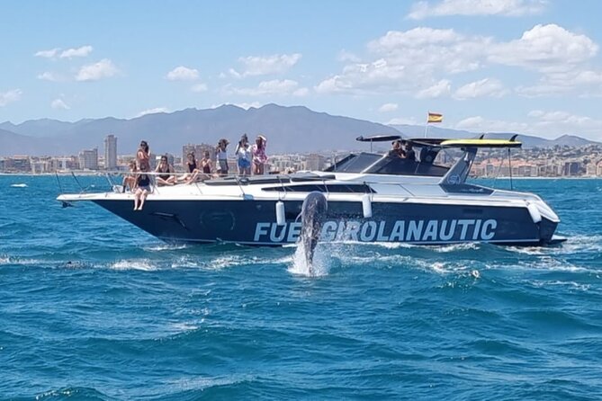 Boat Trip in Fuengirola, Dolphin Watching and Drinks - Price and value: what $48.39 buys you