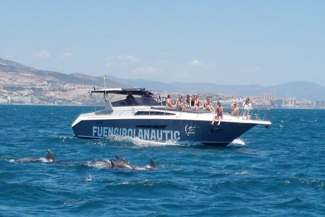 Boat Trip in Fuengirola, Dolphin Watching and Drinks - Getting there: Puerto Deportivo Fuengirola (and going back)