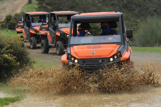 Buggy Adventure with Incredible Views of the Sea and the Reservoir - Key highlights you will feel on the ride