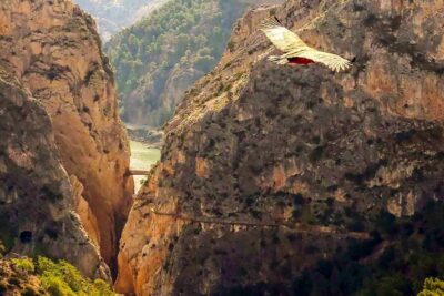 Caminito del Rey: Entry Ticket