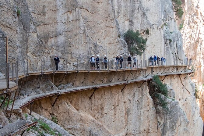 Caminito del Rey Tour from Malaga - Price around $90: where the value comes from (and what costs extra)