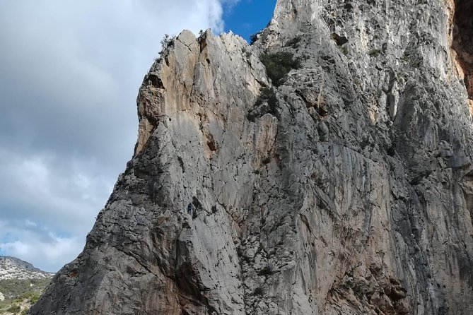Caminito del Rey Trekking Walkway - Guide Value: Turning Views Into Understanding