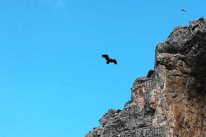 Caminito del Rey Trekking Walkway - Price and Logistics: When Guided Makes Sense (and When It Might Not)