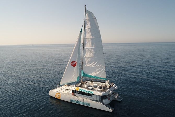 Catamaran tour with swimming stop in Malaga - Key Things I’d Bank On Before You Go