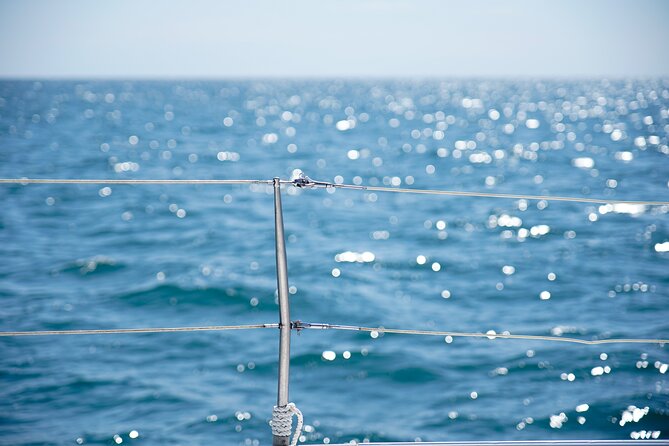 Catamaran tour with swimming stop in Malaga - Timing, Weather, and When the Sea Changes Plans