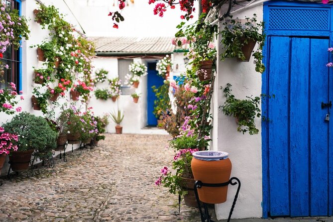 Cordoba Full Day Trip with Mosque Entrance from Malaga - Courtyards and Patios: A Quiet Cordoba Add-On Worth Making Time For
