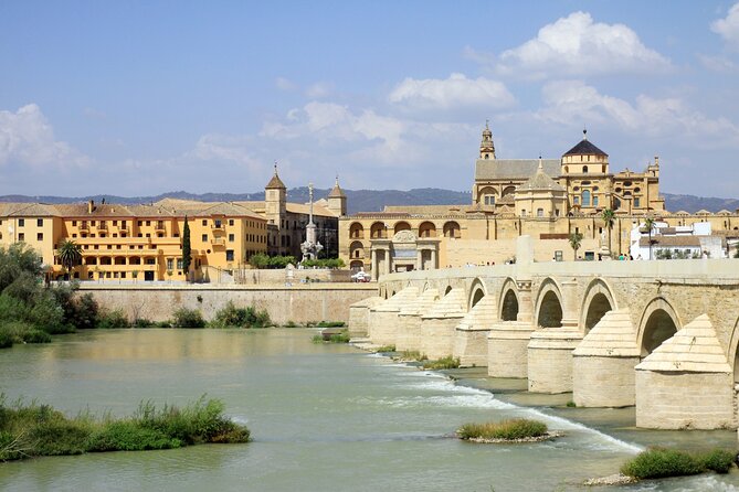 Cordoba Tour with Mosque, Synagogue and Patios from Malaga - Patios and Gardens: The Andalusian Side of Cordoba (And How to Use It)