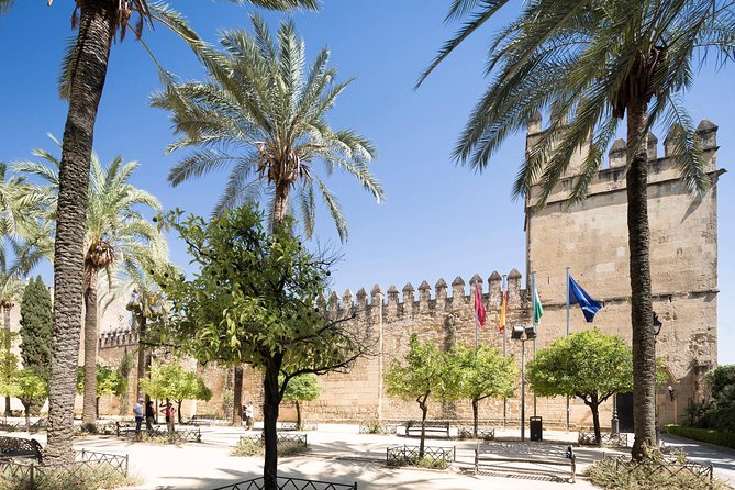 Cordoba Tour with Mosque, Synagogue and Patios from Malaga - Roman Bridge Stop: A Quick Window on Cordoba’s Layout