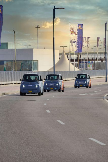 Cruise Terminal Pickup: Málaga in 2 Hours by Electric Car - How the Guide Makes the Difference: Alex and Gemma’s Kind of Service