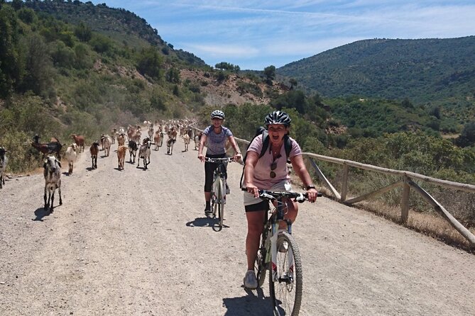 Cycling - Via Verde de la Sierra - 36km - Easy Level - Price and value: what $168.20 buys you for a 5-hour day