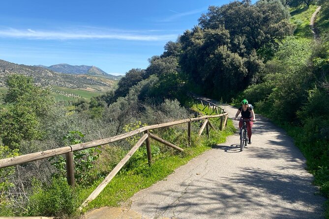 Cycling - Via Verde de la Sierra - Easy Difficulty - Ronda - Meet In Ronda, Then Drive To Olvera (Your Bike Day Starts Easy)