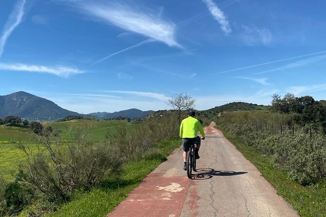 Cycling - Via Verde de la Sierra - Easy Difficulty - Ronda - Vulture Conservation Centre: A Stop That Turns Views Into Wonder