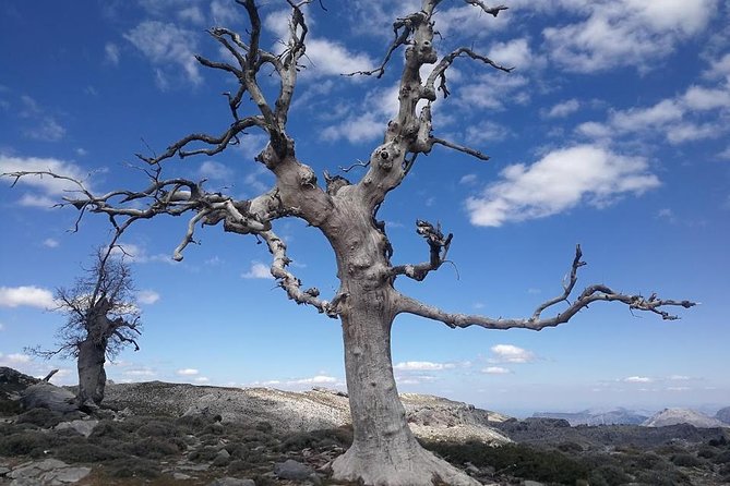 Dayhikes with pick-up from Marbella and Estepona - Who this hike is best for (and who might want a different day)