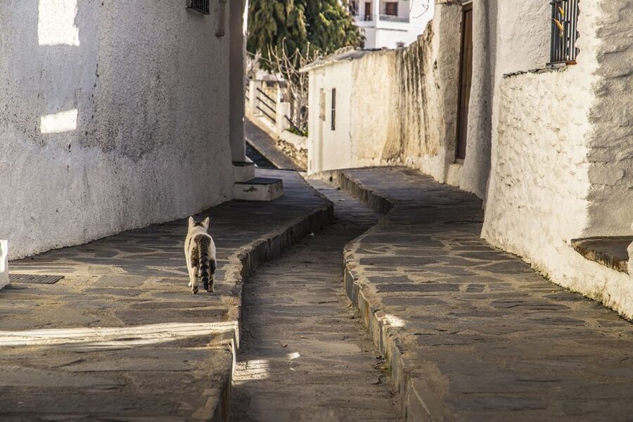 Discovering Las Alpujarras from Málaga - SemiPrivate - Lanjarón: culture shaped by mountain geography